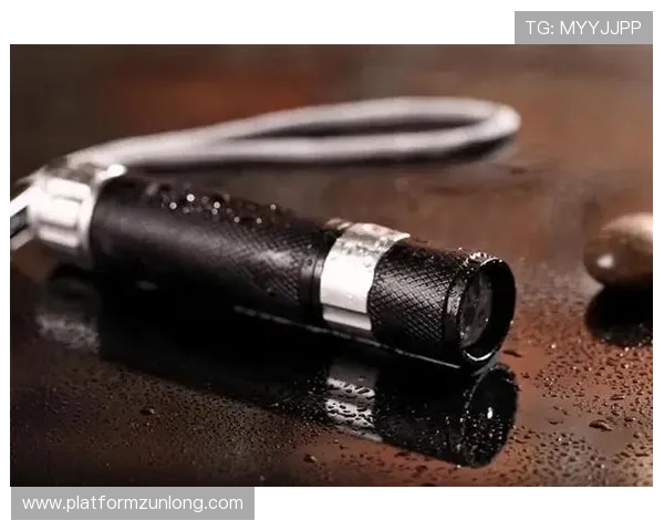 尊龙凯时下载：优化下载速度的实用方法与注意事项