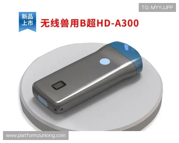 凯时尊龙app官网登录入口网址官方入口更新，第一时间掌握最新登录地址信息