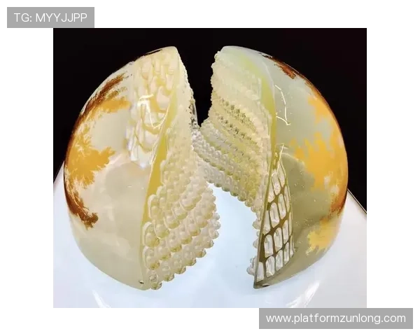 尊龙凯时官网用户评价与口碑分析，了解其他玩家的真实体验与建议